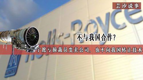技術(shù)壁壘背后的博弈 當(dāng)合作遇冷，企業(yè)走向何方？
